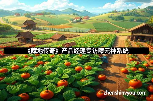 《藏地传奇》产品经理专访曝元神系统